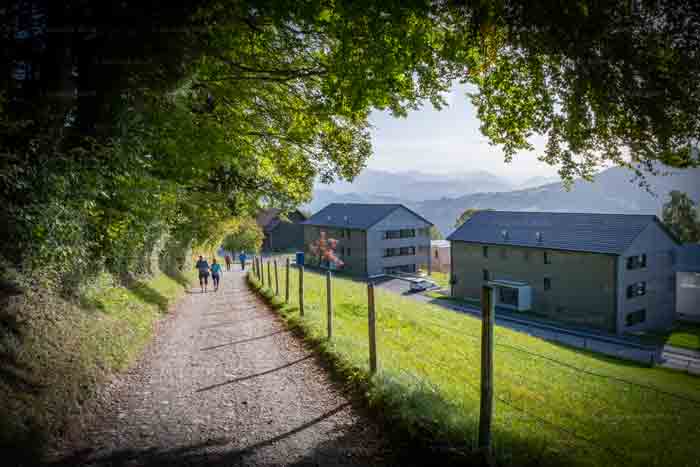 Wanderung zum Pfänder