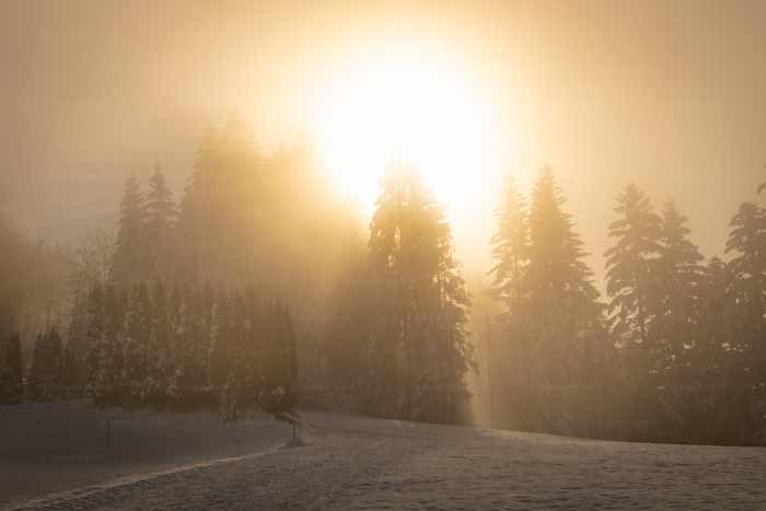 Winter am Pfänderrücken