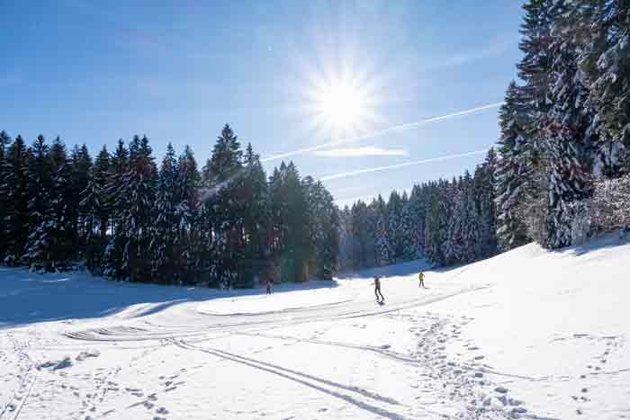 Ski-Langlauf am Pfänder