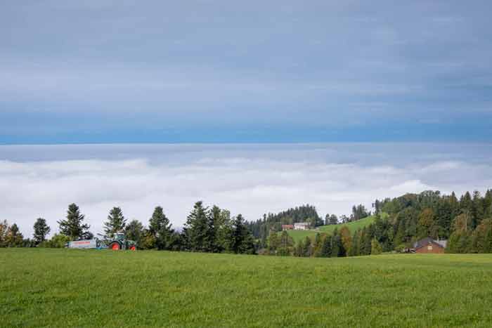 Bodensee im Nebel gefangen