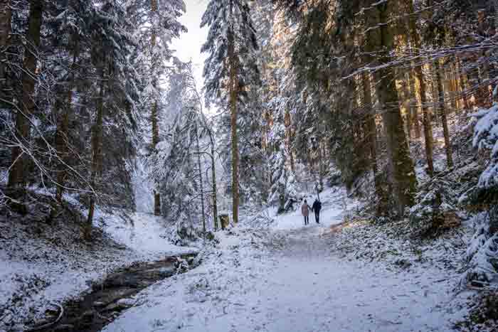 Wandern am nördlichen Pfänder