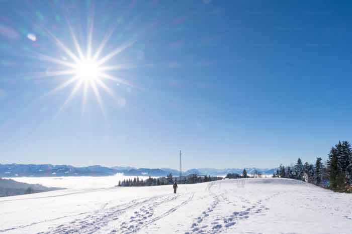 Schnee auf dem Pfänderrücken