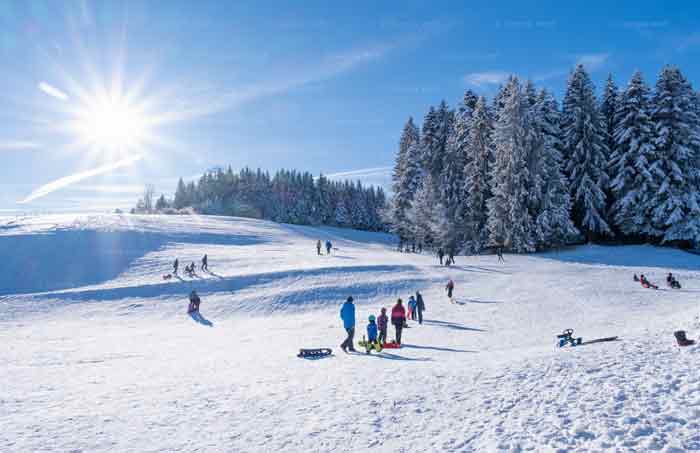 Pfänderrücken in Bayern