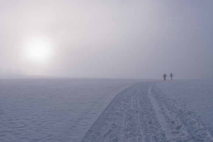 Winter am Pfänder